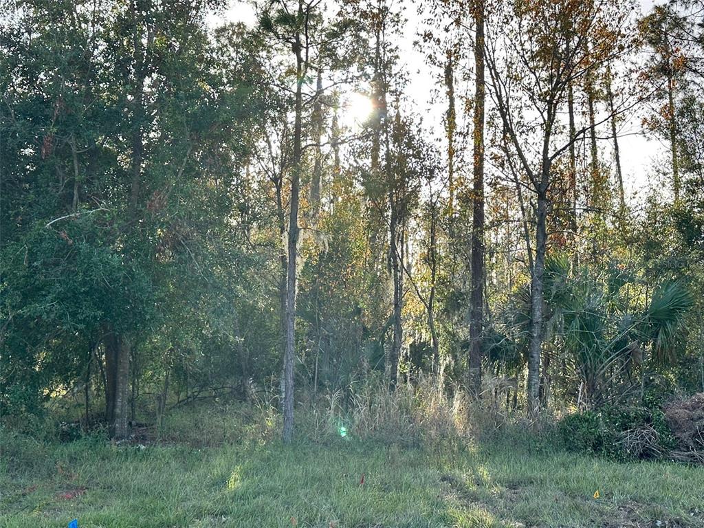 BELLA COLLINA ADD - фото