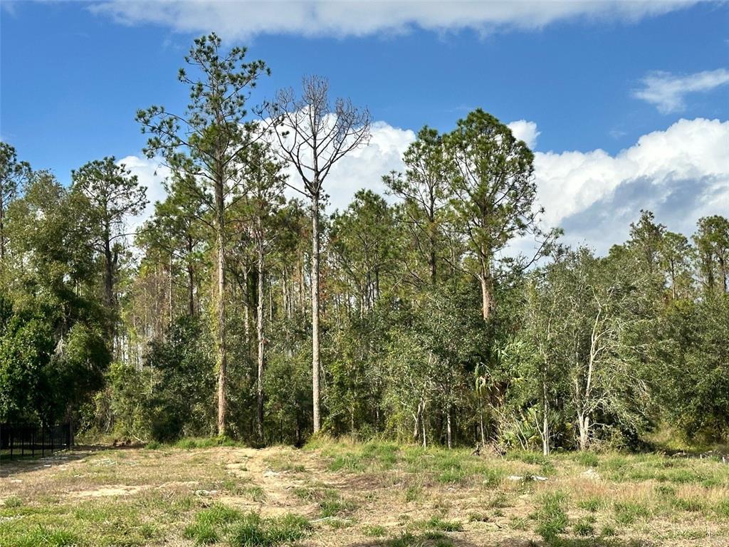 BELLA COLLINA SUB - фото