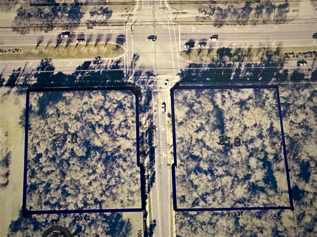 D R MITCHELLS SURVEY OF THE LEVY GRANT - фото