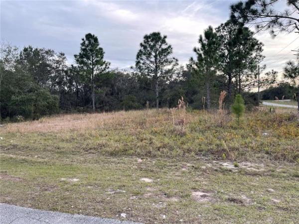 POINCIANA NBRHD 02 WEST VILLAGE 07