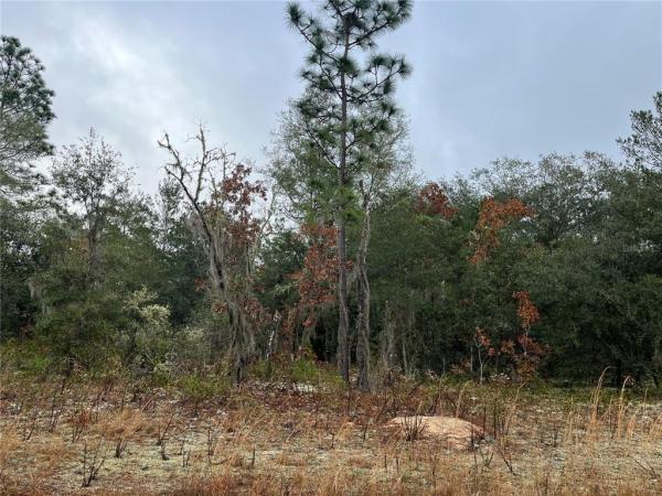INTERLACHEN LAKES ESTATES