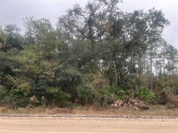INTERLACHEN LAKES ESTATES