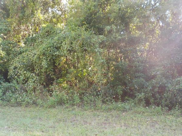 CITRUS SPRINGS UNIT 20