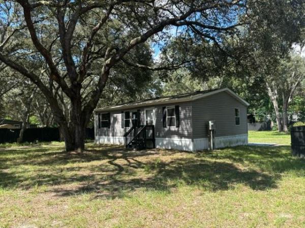 OCALA FOREST CAMPSITES 01
