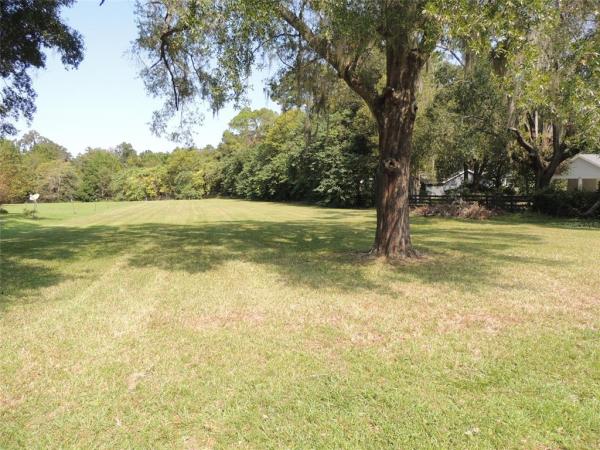 OAK HAMMOCK