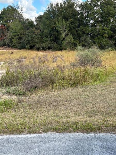 KINGSLAND COUNTRY ESTATE