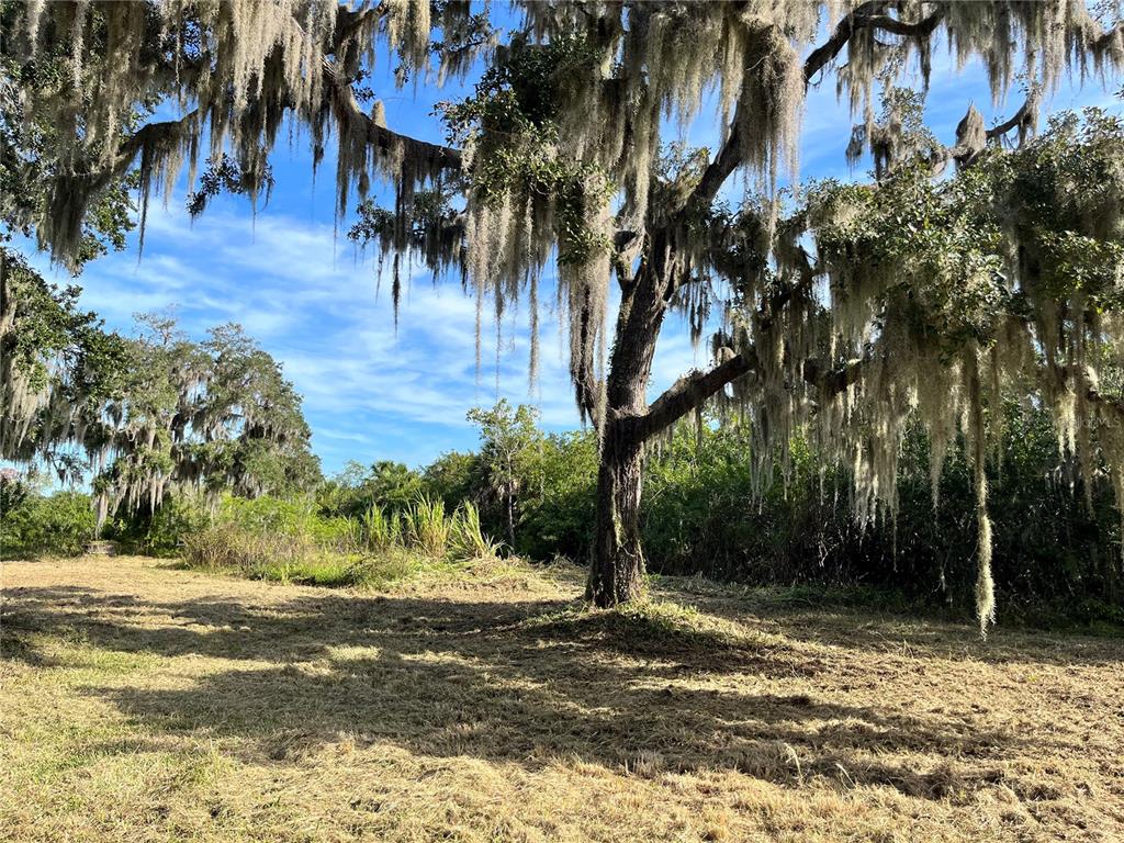 MEAD SMITHS ADD TO RUBONIA - фото