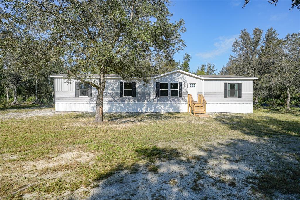 MEADOWS/ARCADIA - фото