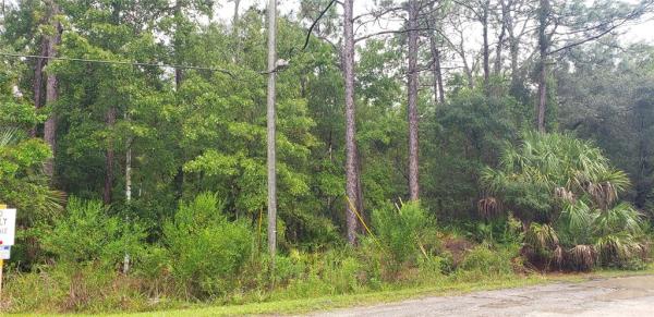 CRYSTAL RIVER VILLAGE UNREC SUB