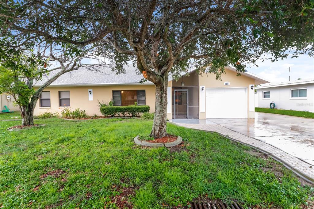 CAPE COAL - фото