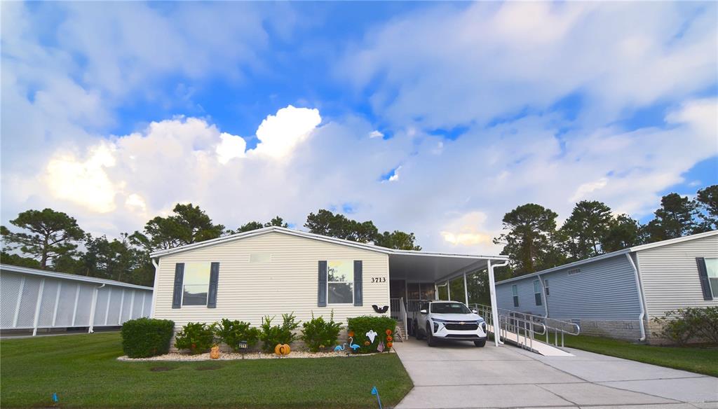 PALM VALLEY - фото