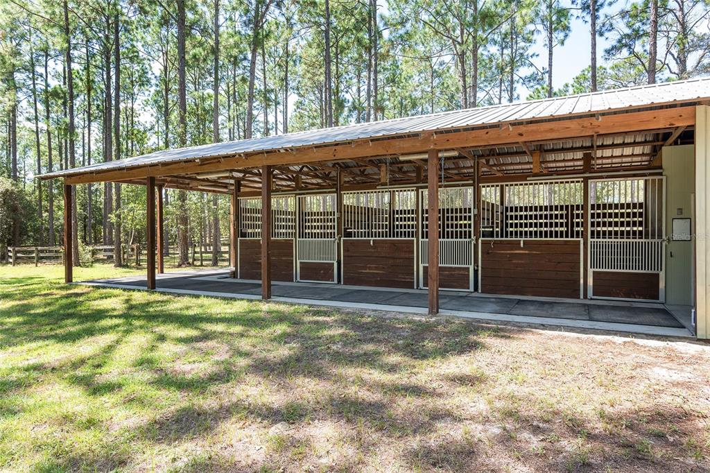 STEEPLECHASE - фото