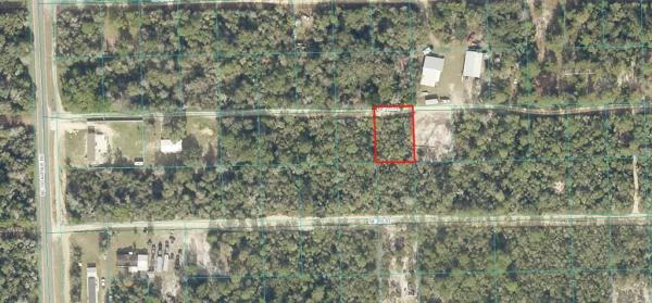 OCALA NATIONAL FOREST CAMPSITES