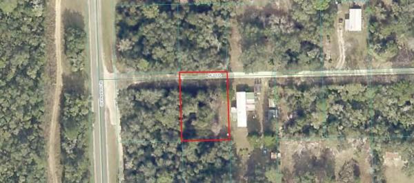 OCALA NATIONAL FOREST CAMPSITES