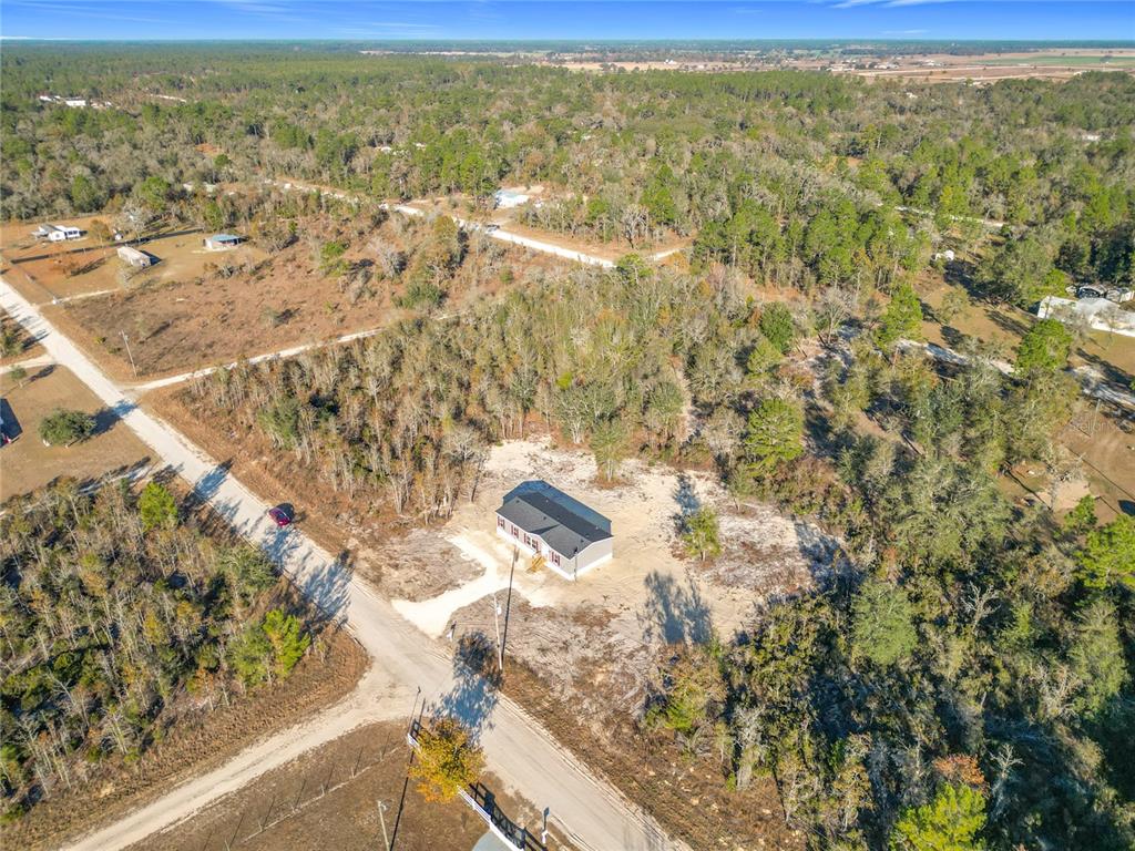 WILLISTON HLNDS - фото