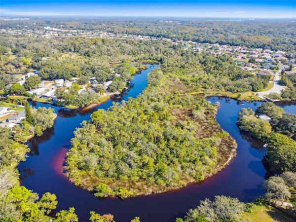 TAMPA TARPON SPGS LAND CO