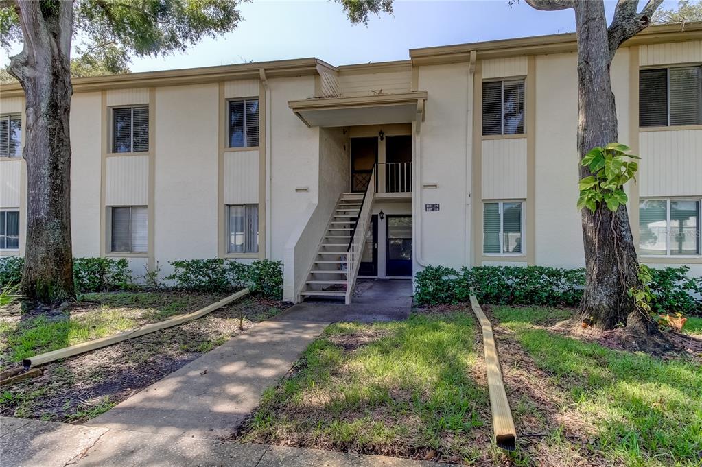 EAST LAKE WOODLANDS CYPRESS ESTATES - фото