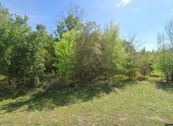 PLANTATION HEIGHTS