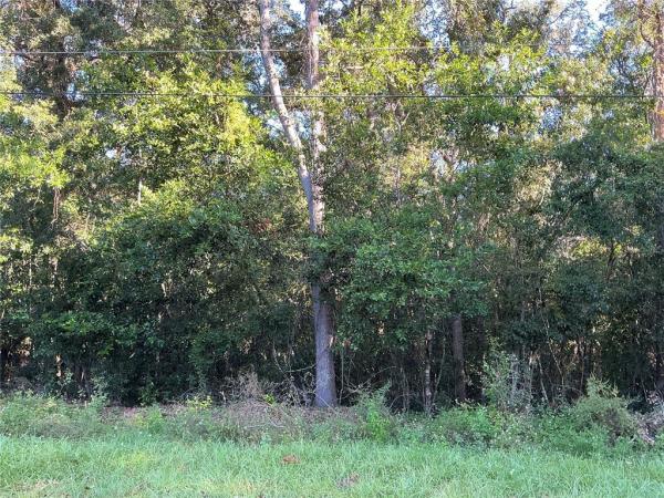 CITRUS HILLS 1ST ADD