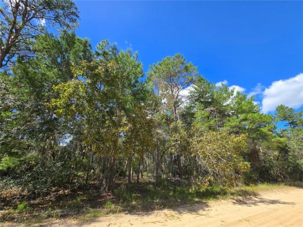 INTERLACHEN LAKES ESTATES