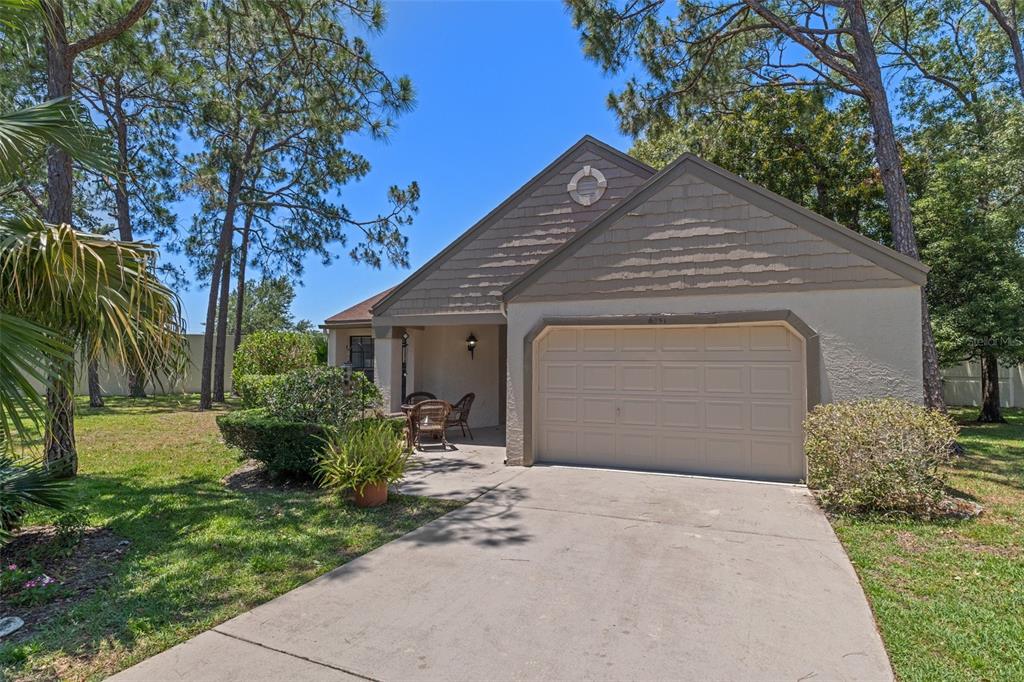 TIMBER PINES - фото