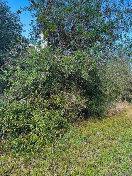 PORT CHARLOTTE SEC 059