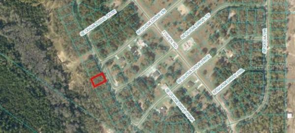 SILVER SPGS SHORES UN #44