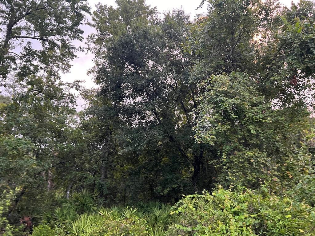 MOON LAKE ESTATES - фото