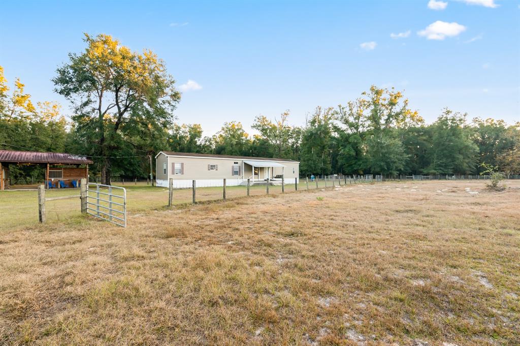 BUCCHI GLEN - фото