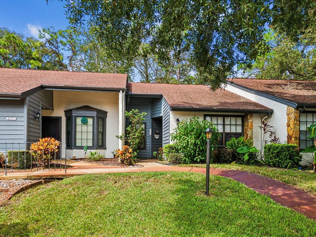 TIMBER PINES - фото