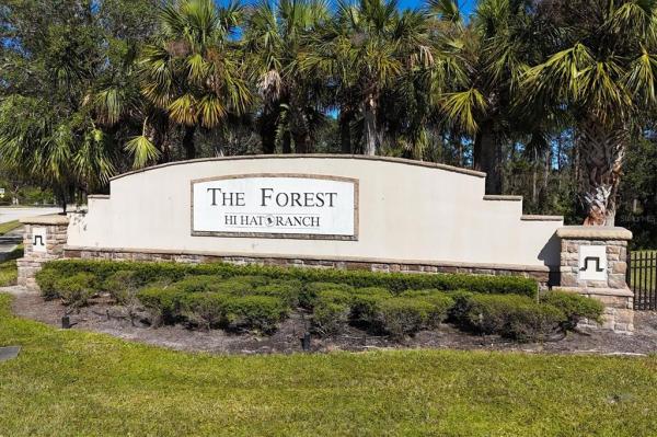 FOREST AT THE HI HAT RANCH