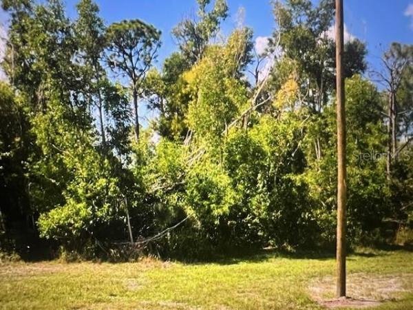 CAPE CORAL