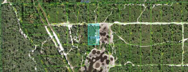 CENTRAL LAKE ESTATES