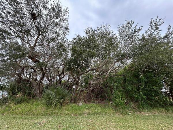 BETHUNE VOLUSIA BEACH