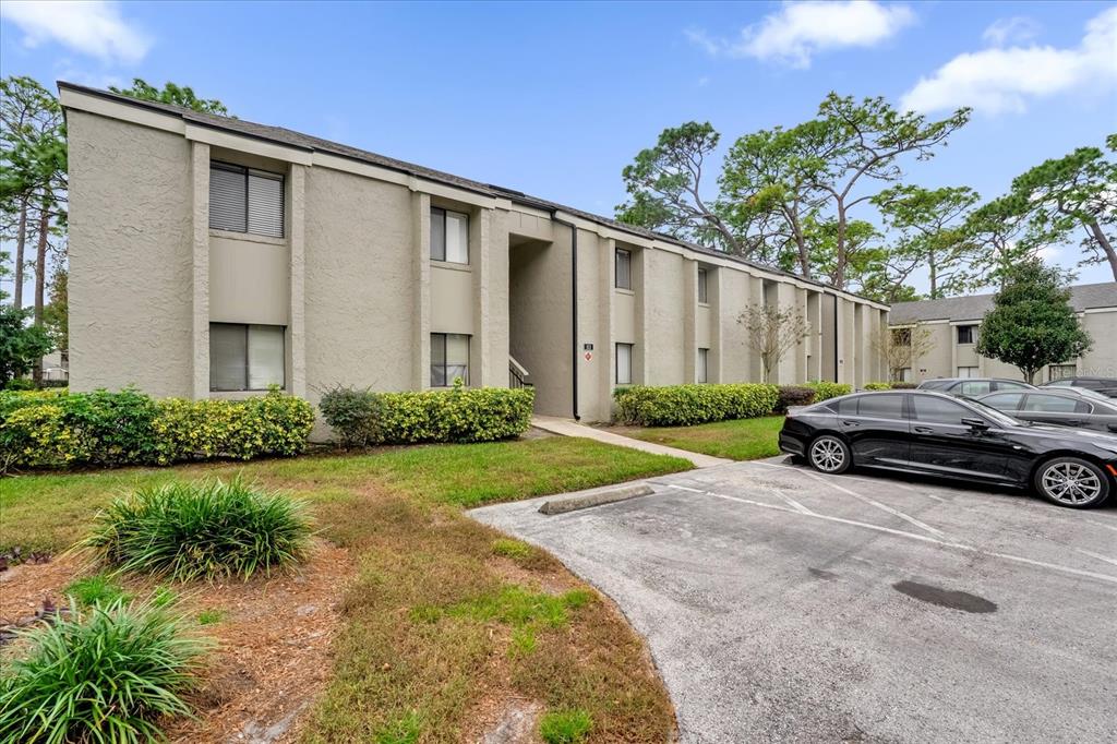 SPRINGWOOD VILLAGE - фото