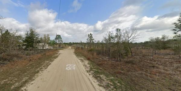 ORANGE BLOSSOM MANOR