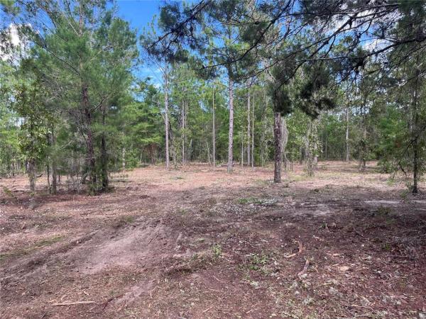 INTERLACHEN LAKES ESTATES