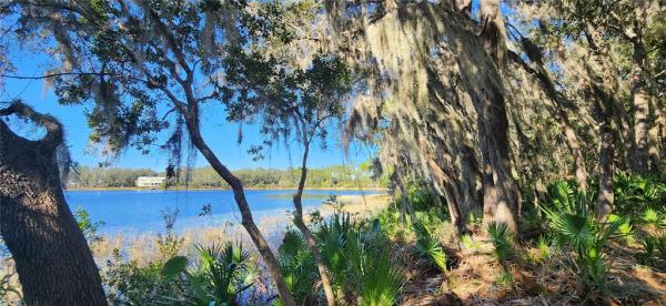 SILVER SPGS SHORES UN 31