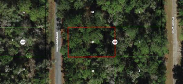 CITRUS SPRINGS UNIT 26