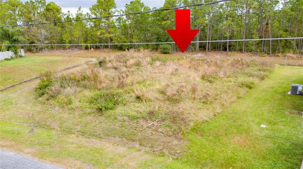 POINCIANA VILLAGE 2 NBHD 1