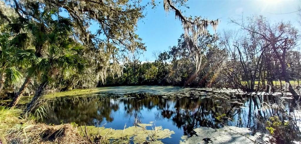 CARMANS CASA DEL RIO - фото