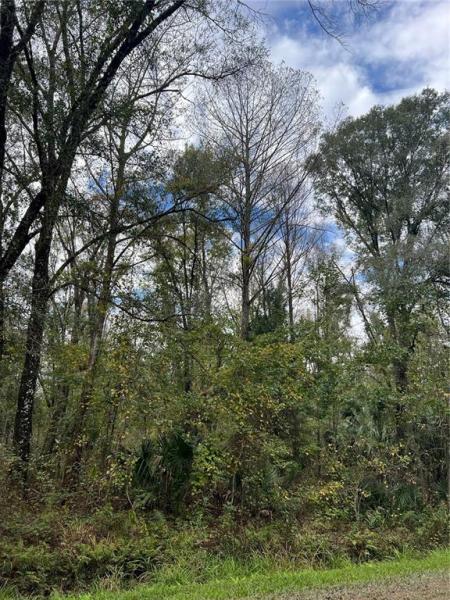 FLAGLER ESTATES #1675