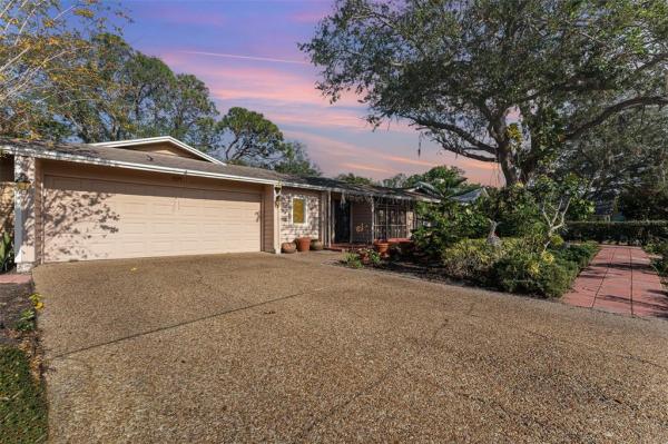 WOODS AT CONQUISTADOR