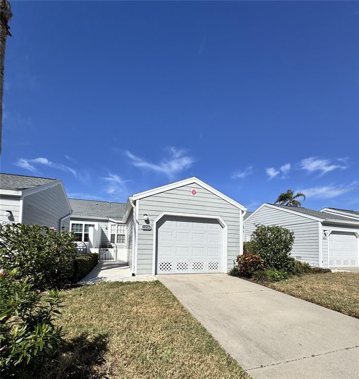 SPOONBILL LANDINGS AT PERICO BAY - фото