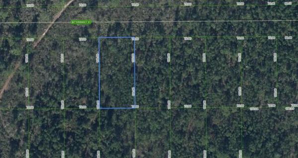 HIGHLANDS PARK ESTATE
