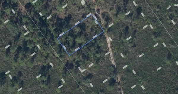HIGHLANDS PARK ESTATE