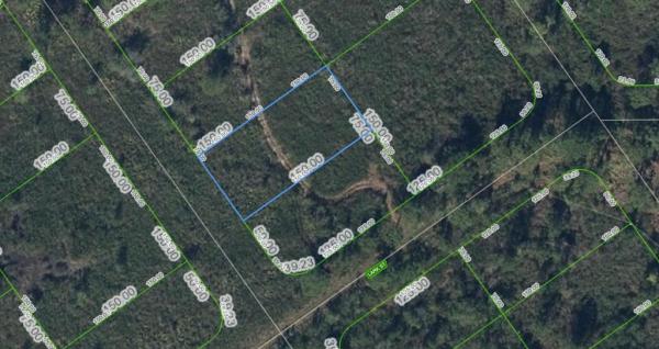 HIGHLANDS PARK ESTATE