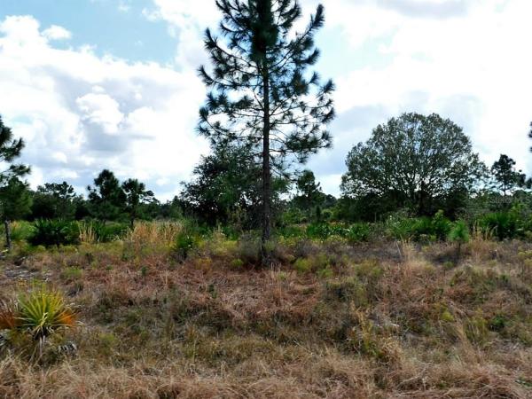 PORT CHARLOTTE SUB 44