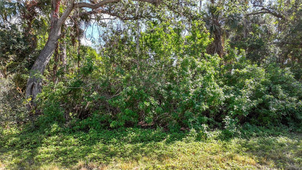 ROTONDA HEIGHTS - фото