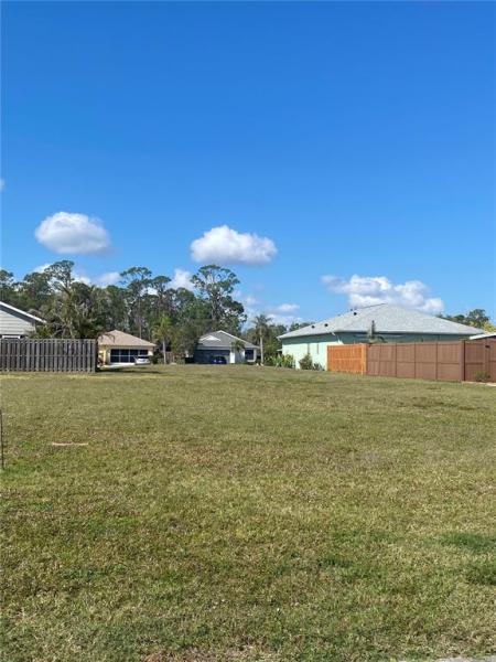 TREE TOPS AT RANGER POINT